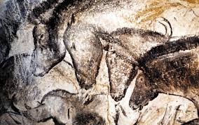 Resultado de imagen para pinturas rupestres de Chauvet